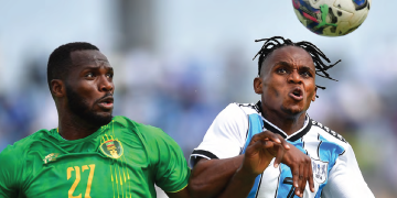 Zebras enter difficult phase