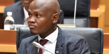 Will Dikoloti join UDC or contest 2029 as mokoko?